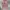 Celana Baggy Retro Pink Loose Jeans OOTJ photo 2