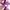 Aimerfeel gothic purple lace bra photo 7
