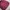 Biker Casual Parka Pria burgundy photo 2