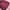 Biker Casual Parka Pria Burgundy