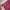 Biker Casual Parka Pria burgundy photo 5