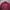 Biker Casual Parka Pria burgundy photo 3