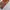 VINTAGE Y2K LEATHER BAGS LOOK LIKE GUESS WITH CROCODILLE SKI photo 5
