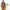 Gorpcore Sportswear Parka Pria tan khaki photo 5
