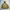 Gorpcore Sportswear Parka Pria tan khaki photo 1
