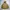 Gorpcore Sportswear Parka Pria Tan Khaki