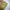 Gorpcore Sportswear Parka Pria tan khaki photo 8