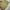 Gorpcore Sportswear Parka Pria tan khaki photo 4