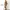 Gorpcore Sportswear Parka Pria tan khaki photo 6