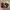 Harness Boots Stradivarius photo 1