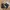 Harness Boots Stradivarius