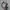Gelang Juice Couture Original
