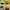 ELLE Sportswear Hat Wanita yellow photo 1