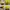 ELLE Sportswear Hat Wanita Yellow