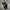 Adidas Casual Sneakers Pria white black photo 2