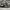 Adidas Casual Sneakers Pria white black photo 4