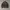 Y2k Grunge Ramones Bikers Leather Jacket Brown Leopard Emo photo 1