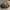 Louis Vuitton Vintage Bag [With Noser] photo 7