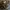 Louis Vuitton Vintage Bag [With Noser] photo 1