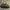 Louis Vuitton Vintage Bag [With Noser] photo 5