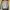 Thom Browne Luxury Sweater Knitwear Rajut Unisex photo 7