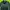 Tracktop lecaf sport no minus  photo 1