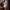 Loongslave carhartt pocket photo 5