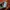 Loongslave carhartt pocket photo 4