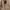 Authentic Michael Kors Mercer photo 9