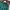 Knit Inner Lacoste Emerald Green Rajut Pria