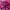 47 Brand Casual Hat Wanita pink photo 7