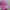 47 Brand Casual Hat Wanita pink photo 3