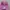 47 Brand Casual Hat Wanita pink photo 2