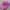 47 Brand Casual Hat Wanita pink photo 4