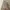 Marmot Membrain Combat Field Parkas Jacket  photo 8