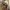 Marmot Membrain Combat Field Parkas Jacket  photo 6