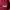 "Gosister" Red Burgundy Heavy Weight Boxy Zip Up Hoodie photo 3