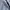 DICKIES DOUBLE KNEE DARK NAVY photo 6