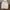 Hoodie kangol photo 2