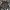 American Apparel Y2K Casual Short Pria gray photo 2
