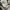Converse jack purcell leather black white photo 5