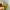 Photograph Printed Green Mesh Midi Skirt (28) photo 7