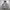 Hoodie MLB NY grey ( Size XL) photo 1
