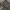 Fubu cargo pants camo  photo 5