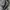 Balloon jeans standard eror korea photo 4