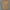 Burberry nova check women photo 9