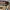 Burberry nova check women photo 5