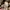 Burberry nova check women photo 7