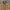 Burberry nova check women photo 3