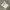 Casual Jersey Pria white photo 2